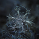 Illustration for article titled Amazing close-up photos of snowflakes taken without a microscope